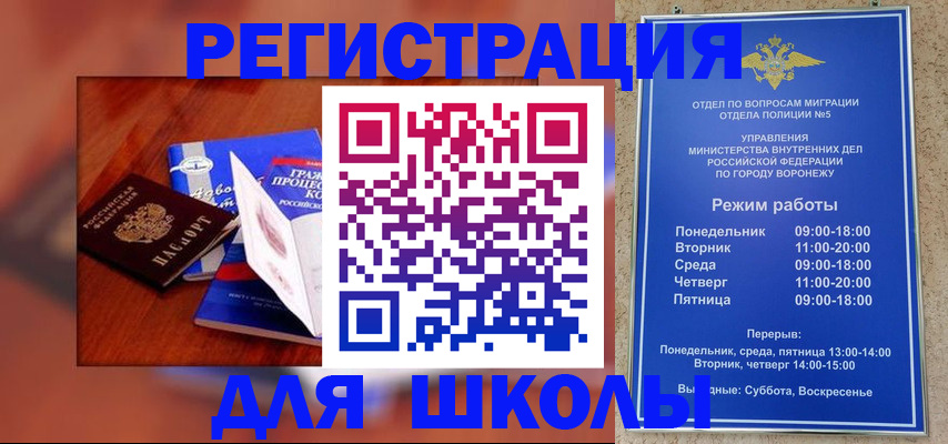 прописка для работы в Жердевке